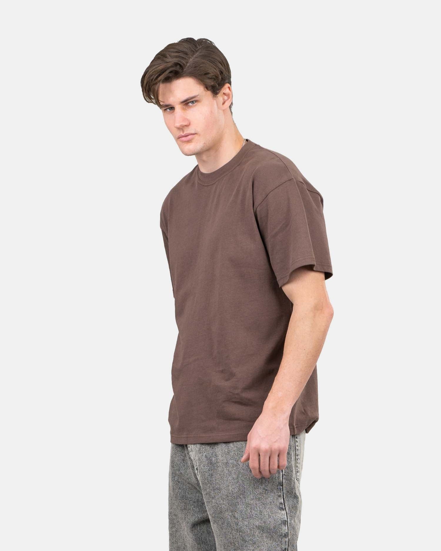 Blank T-shirt Brown | Skagen - clothing.dk